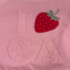 Hollister Pink Fleece Sweatshirt semi cropped scoop neck worn once